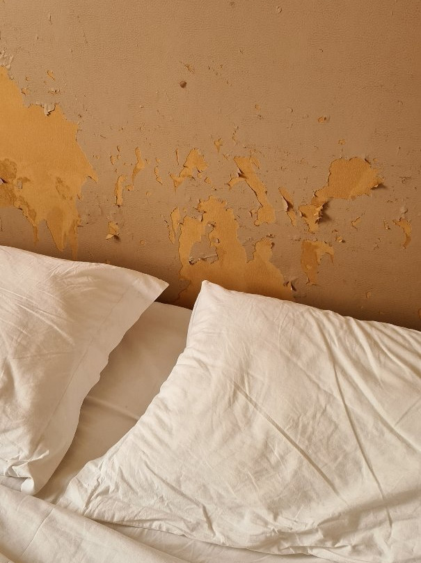 Viana旅游攻略图片