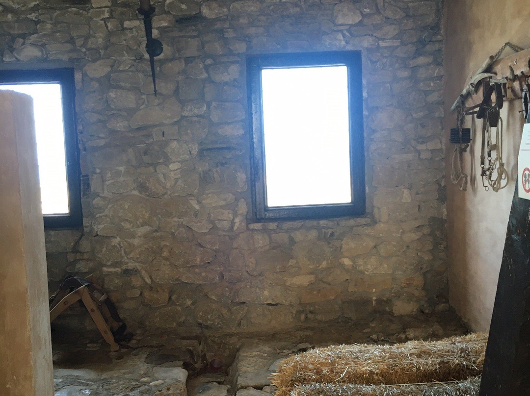 Castello Chiaramonte景点图片