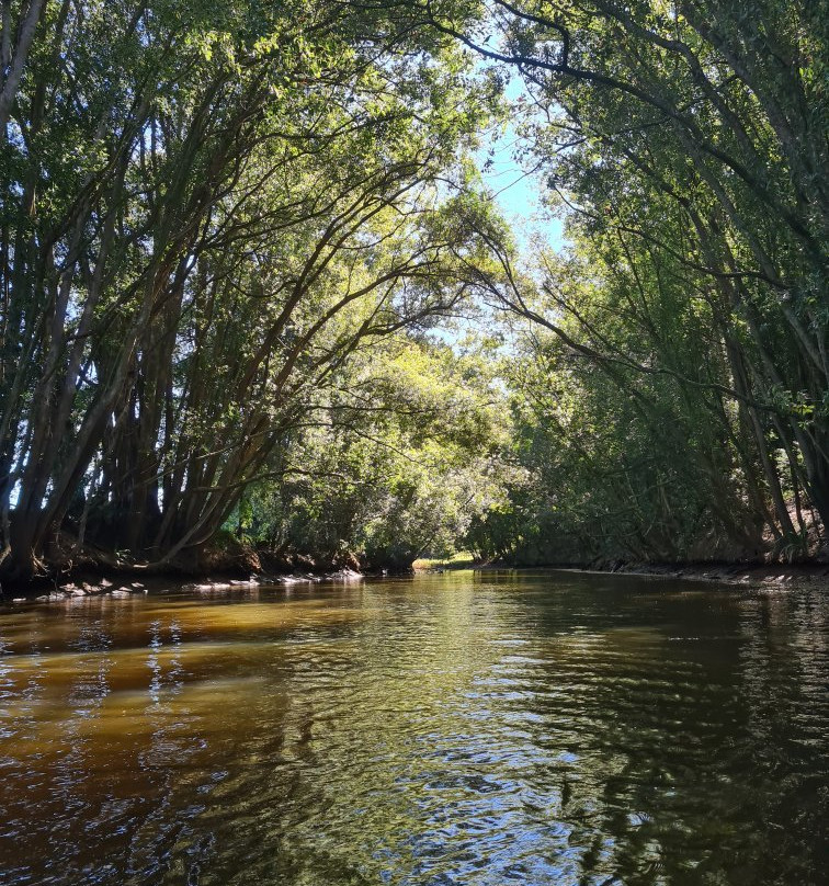 Bellingen Canoe Adventures景点图片