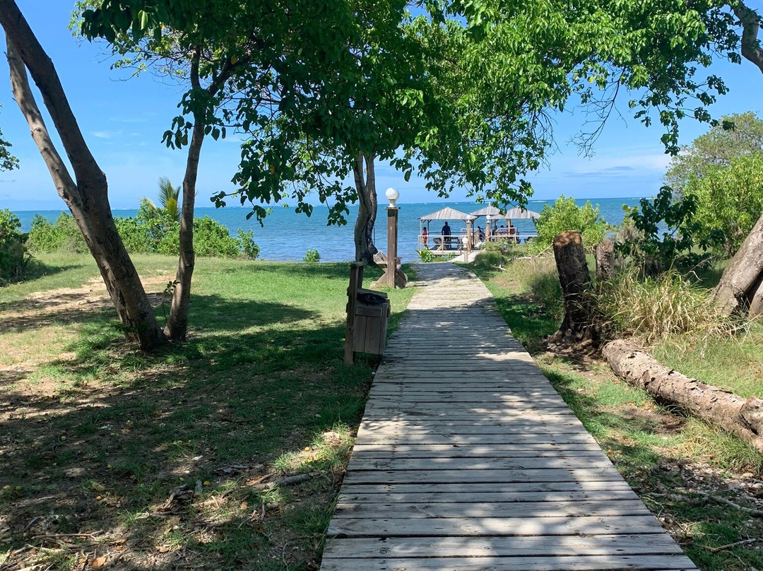 HOTEL CAP MACABOU主图