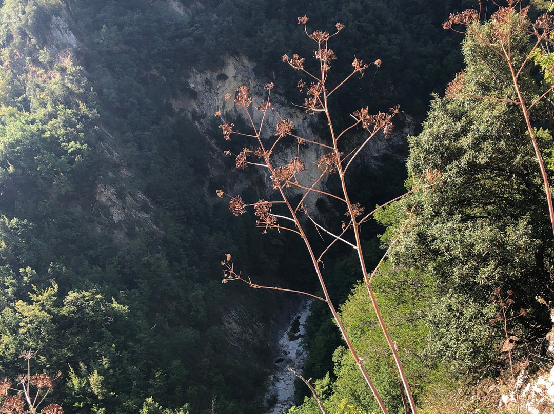 Eremo Grotta Sant'angelo景点图片