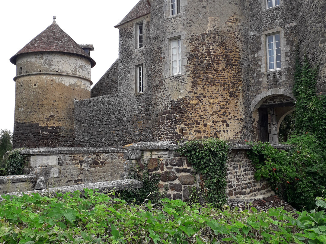 Château de Ratilly景点图片