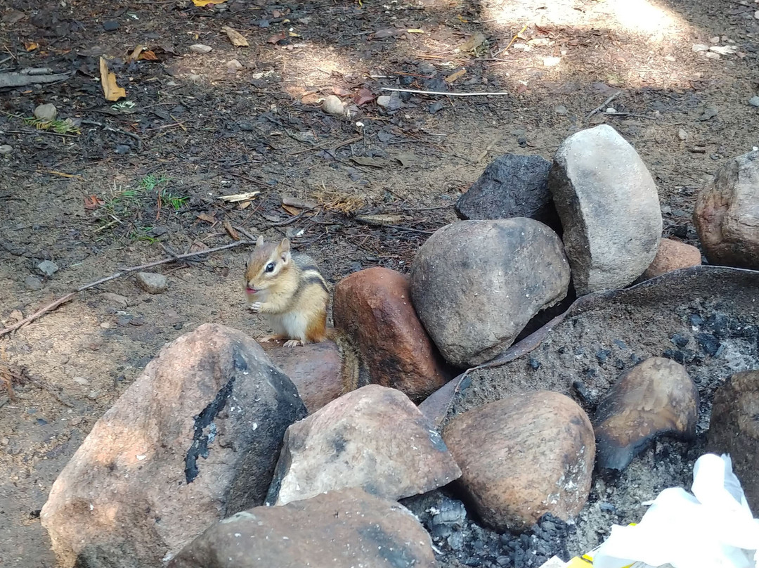 Réserve faunique du st-Maurice-Trois Rives必去景点
