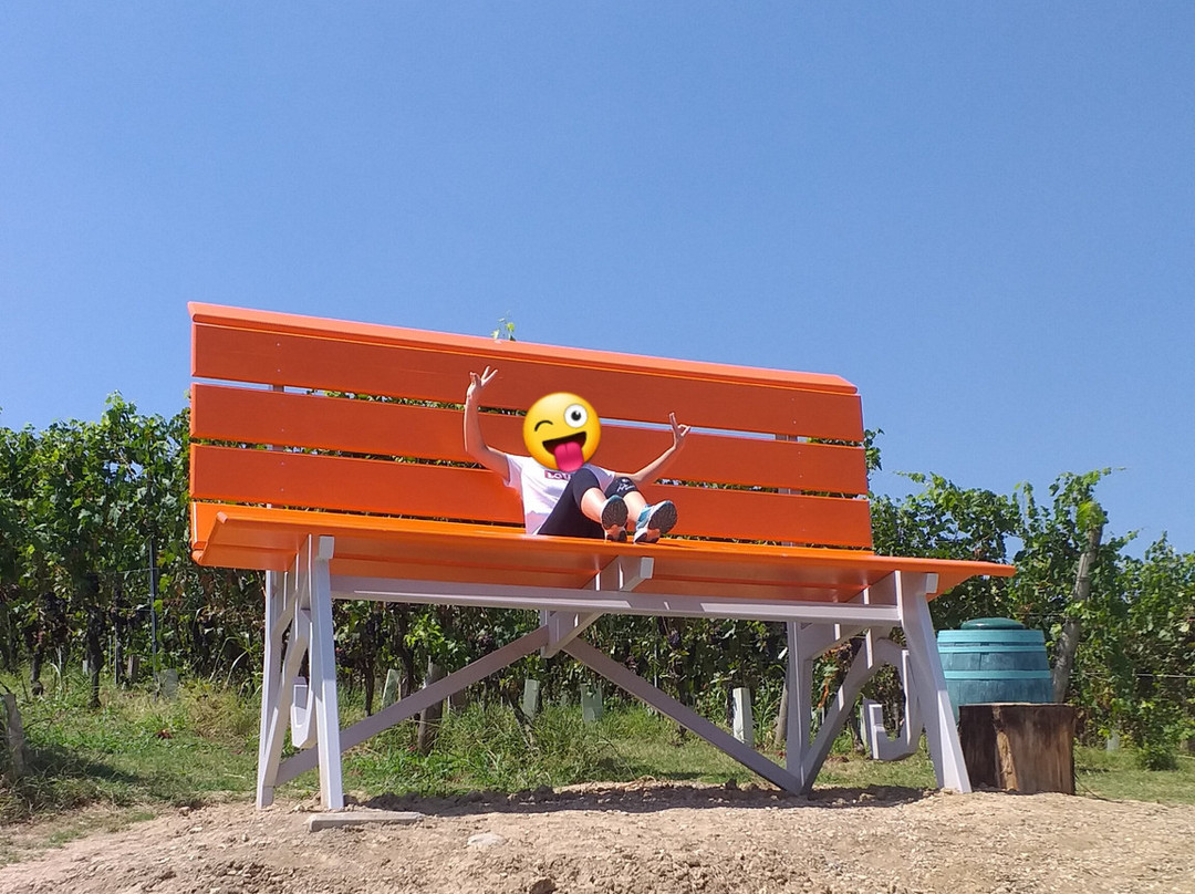 Big bench nr. 107景点图片