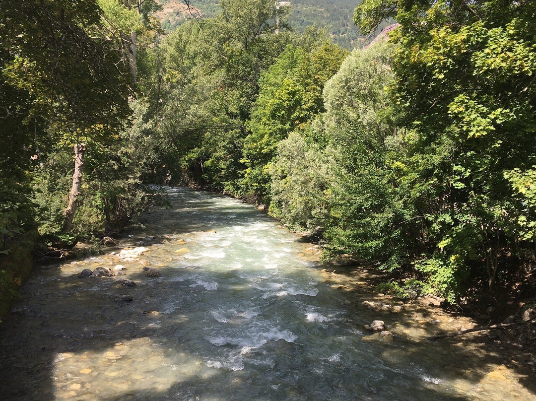 Grimp in Forest景点图片