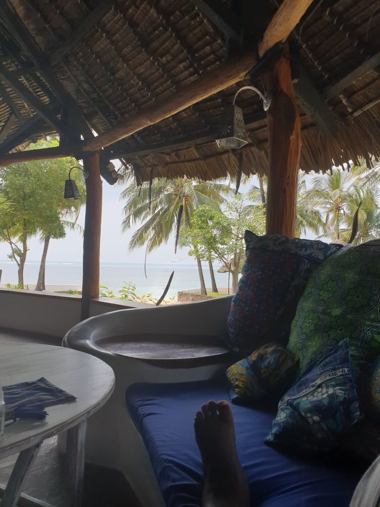 Driftwood Beach Club-官方