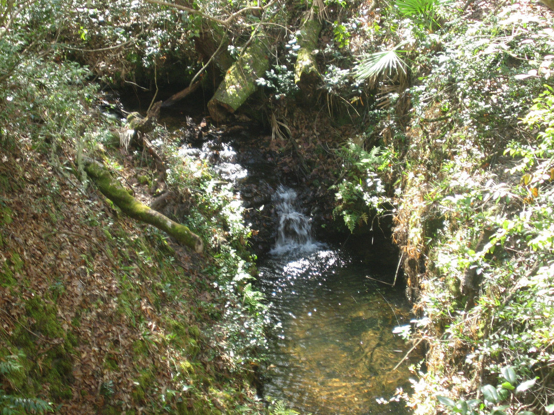 Jennings State Forest-Middleburg必去景点