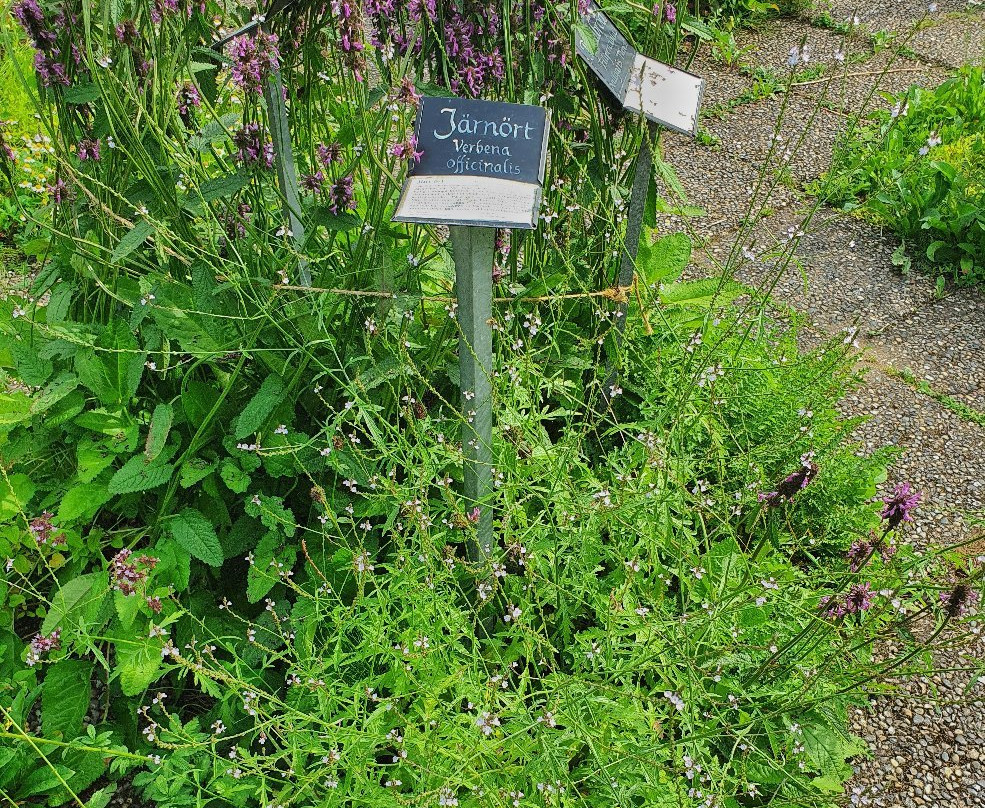 Örtagården