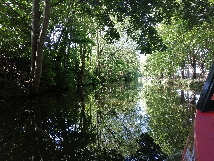 Saltaire Trip Boat景点图片