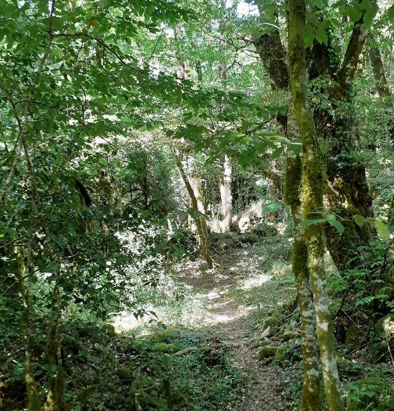Tours de Carbonnieres-Goulles必去景点
