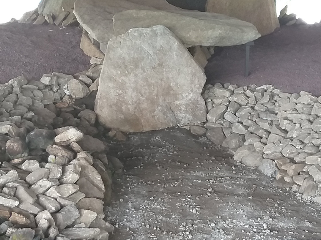 Dolmen de Dombate景点图片