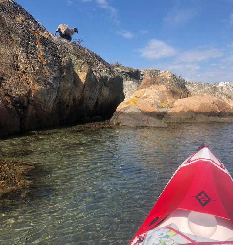 Koster Adventures-Sydkoster必去景点