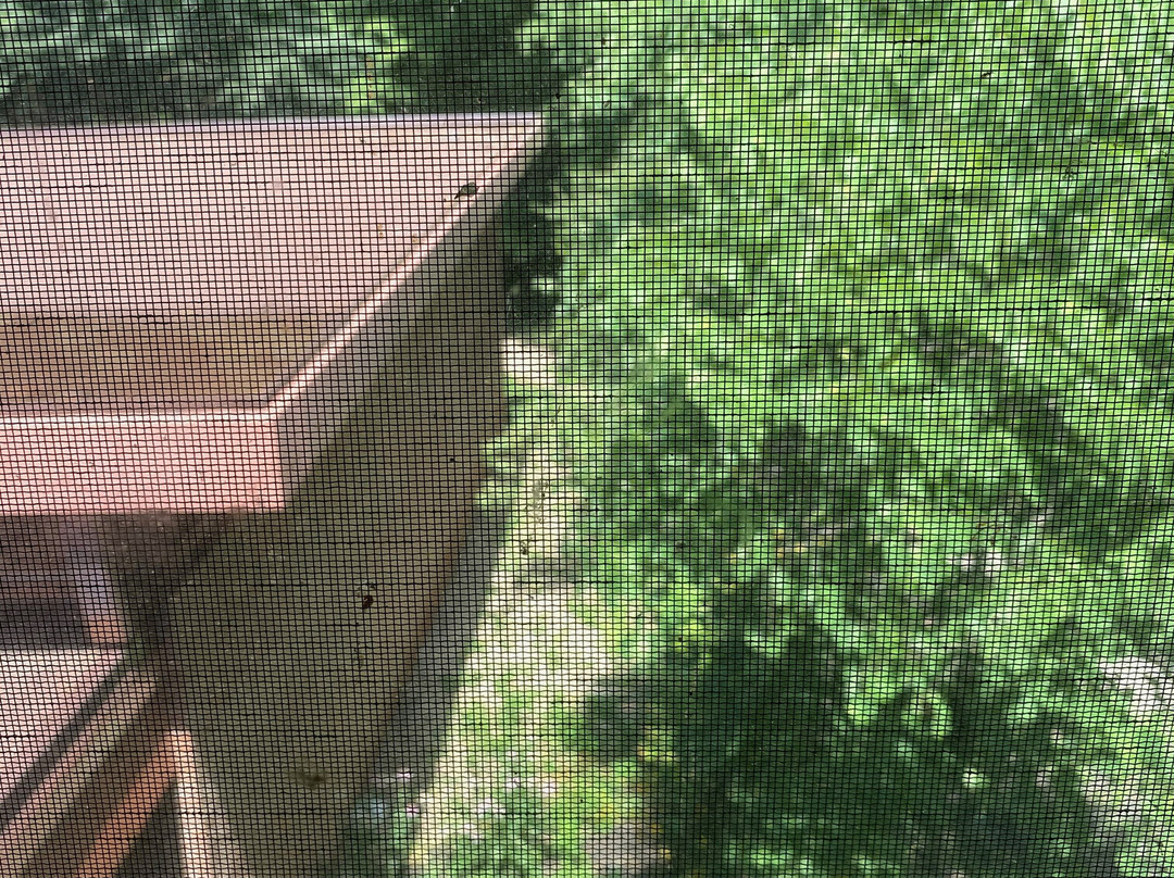 Turkey Run Inn & Cabins主图