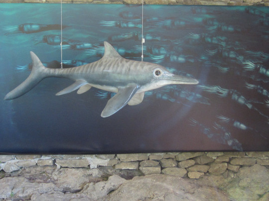 L'Ichtyosaure-La Robine-sur-Galabre必去景点