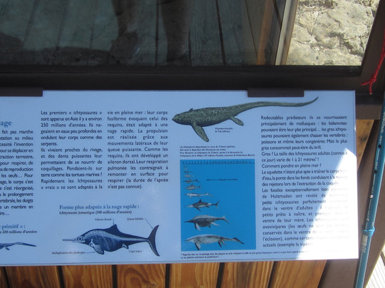 L'Ichtyosaure-La Robine-sur-Galabre必去景点