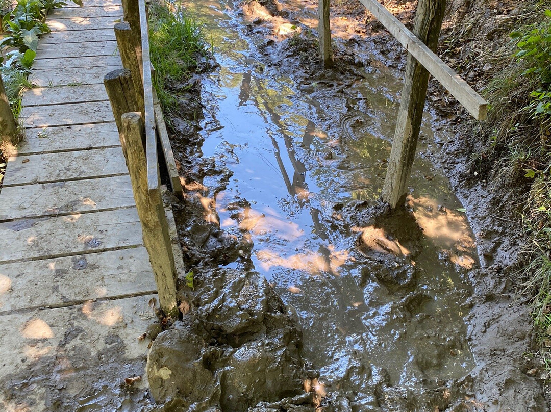 Aventure Jura Parc-Rebeuvelier必去景点