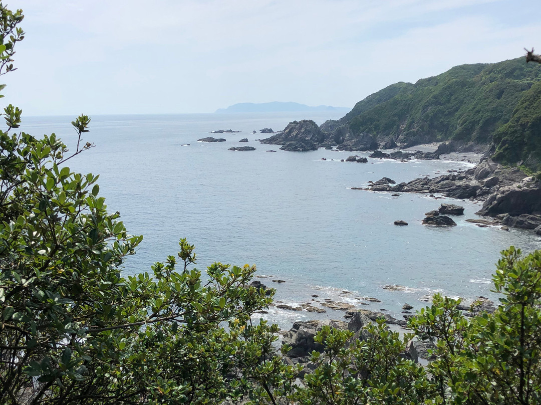 Kanaezaki Cape-土佐清水市必去景点