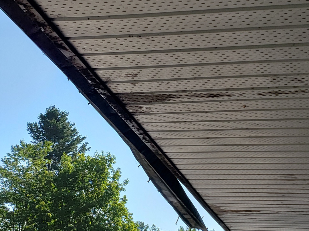 Comme Chez Soi主图