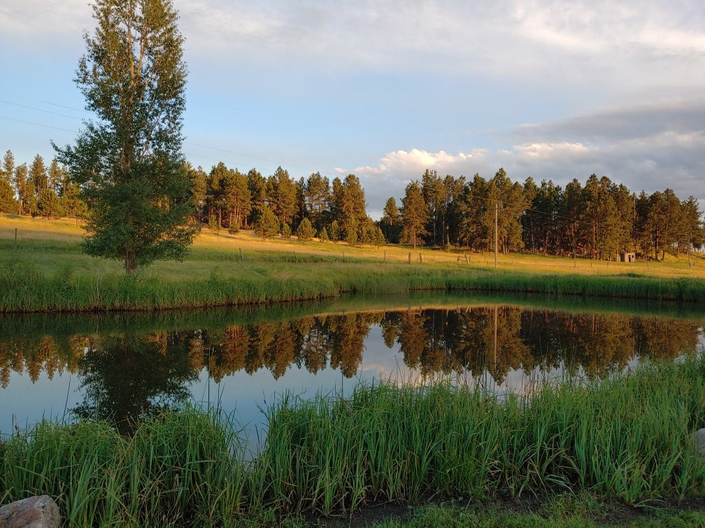 Gold Camp Cabins主图