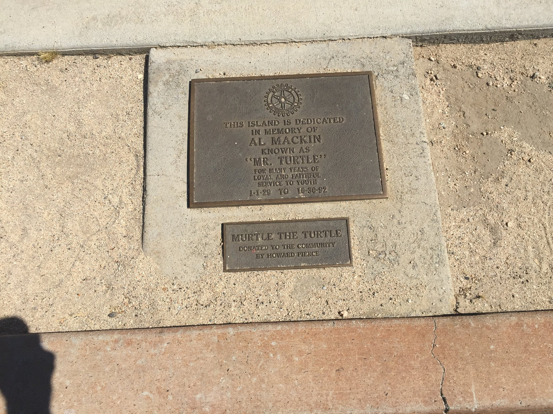 Murtle the Turtle-约书亚树必去景点