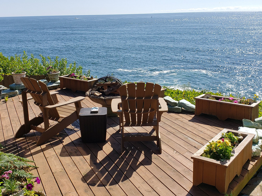 An Ocean Paradise Whales Rendezvous主图