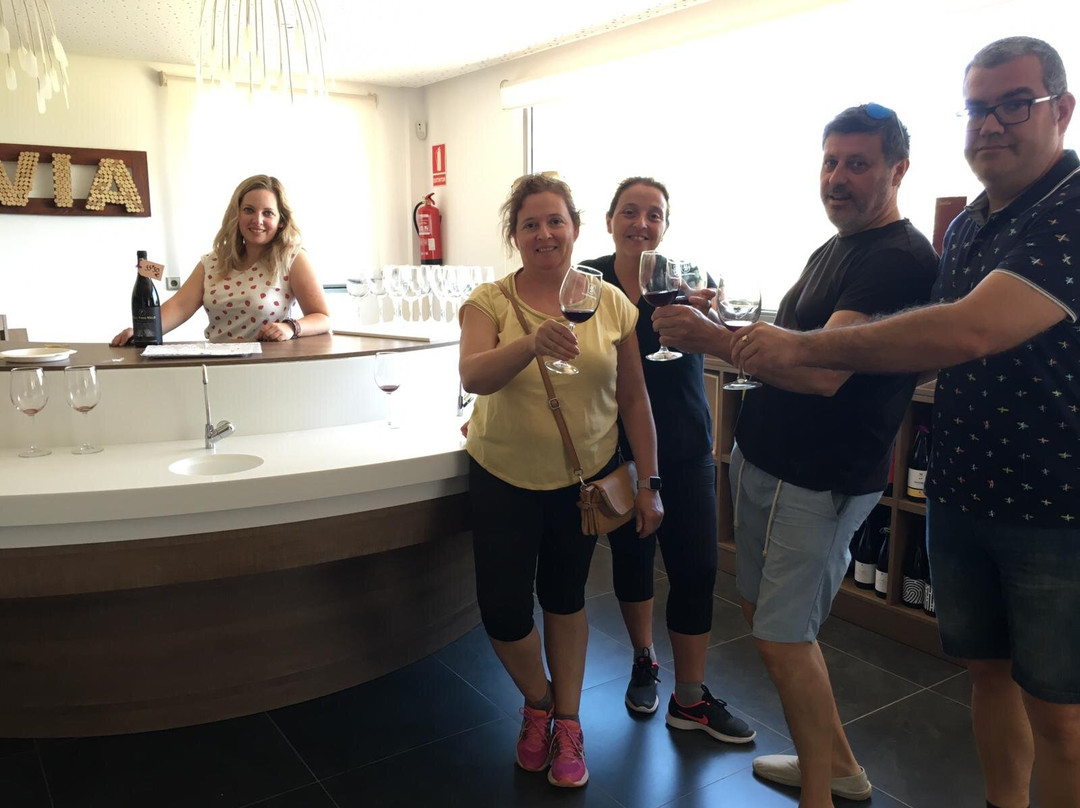 Bodegas Lavia-Cehegin必去景点