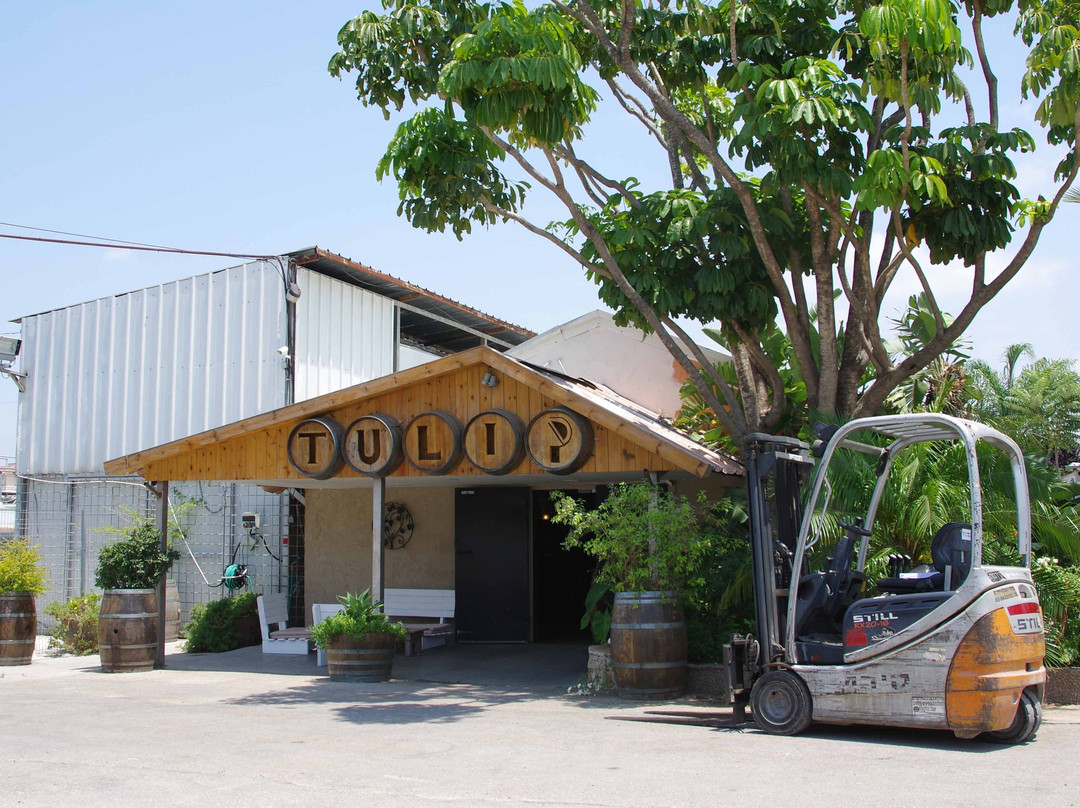 Tulip Winery-Kiryat Tivon必去景点