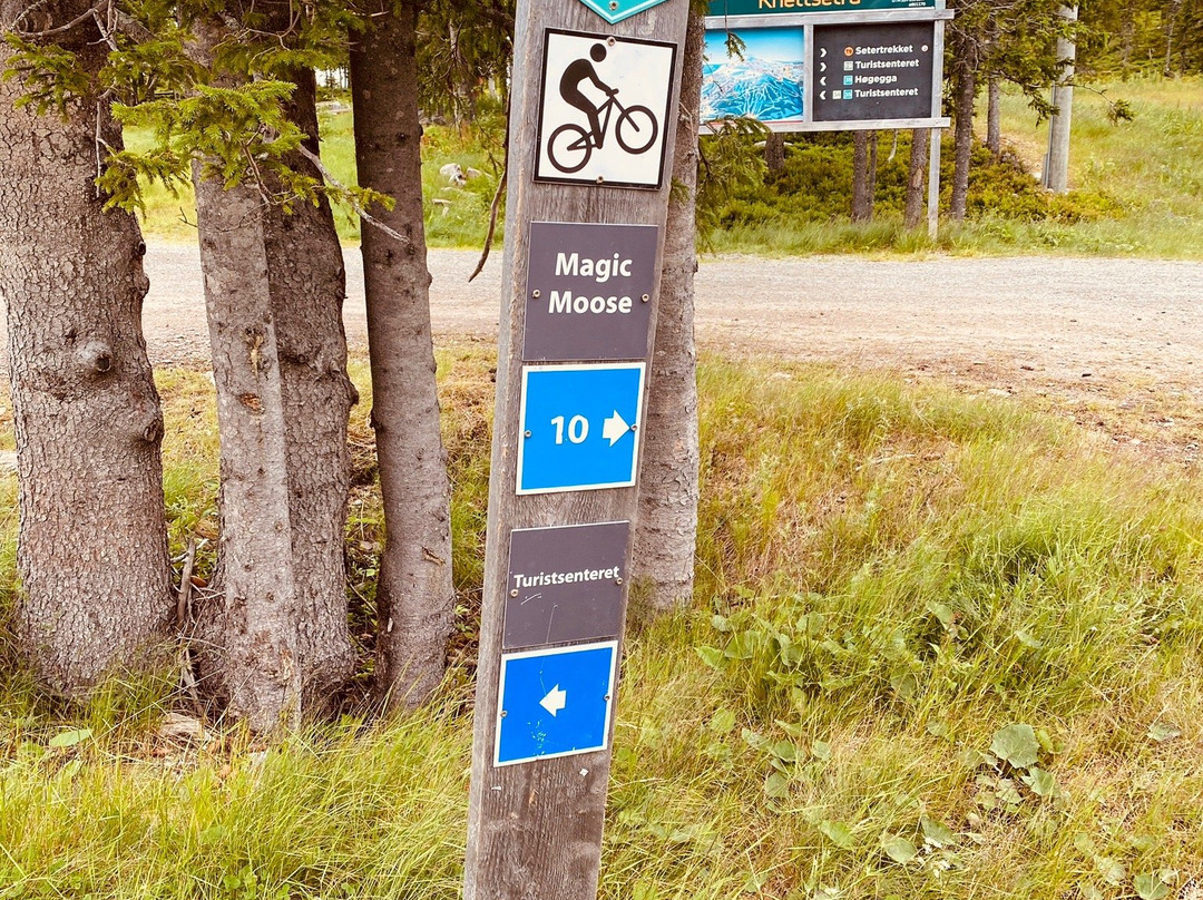 Trysil Bike Arena景点图片