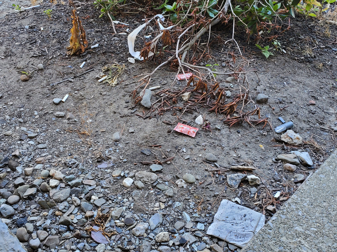 菲什基尔原住客栈主图