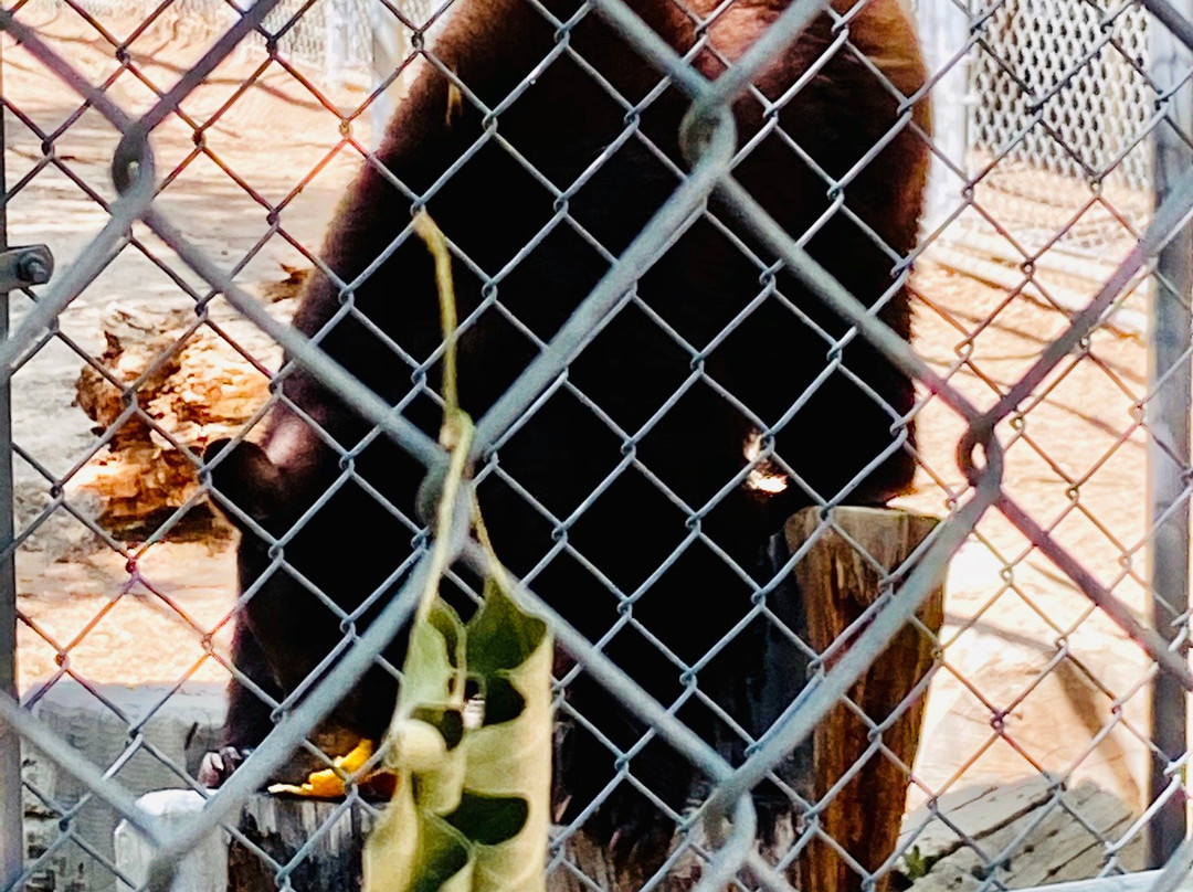 Wildhaven Ranch-箭头湖必去景点