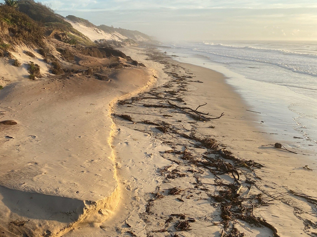 Bundjalung National Park景点图片