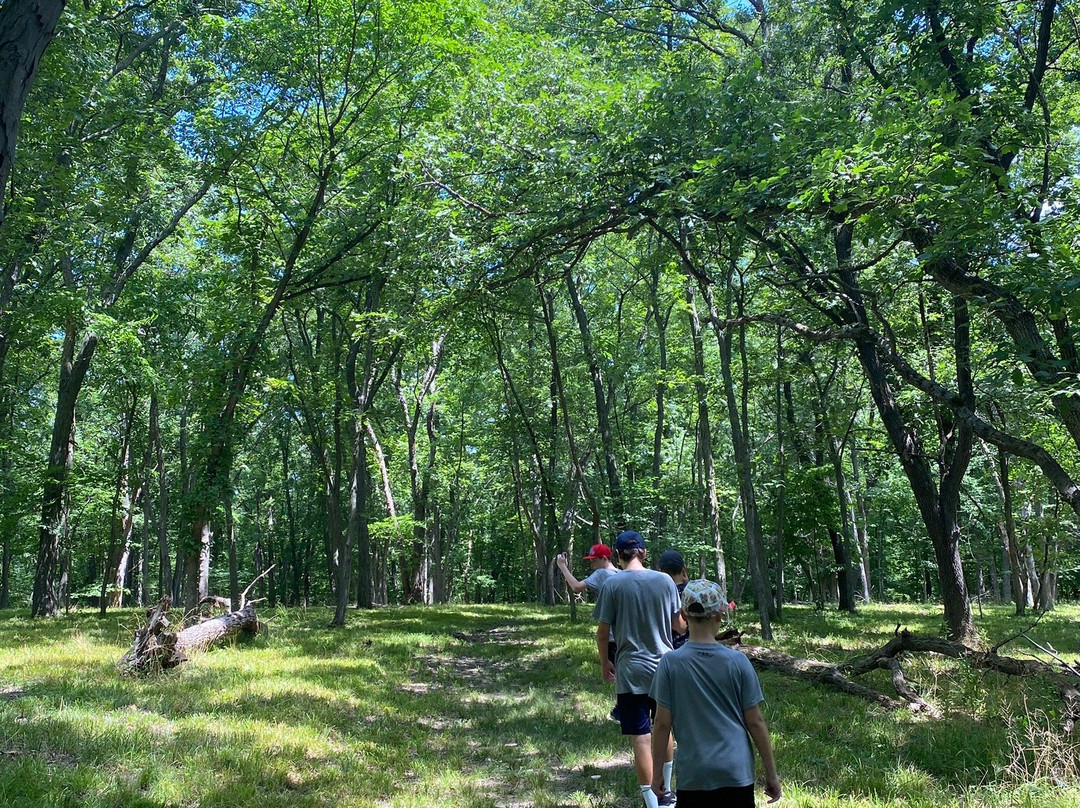 Pammel Park-Winterset必去景点