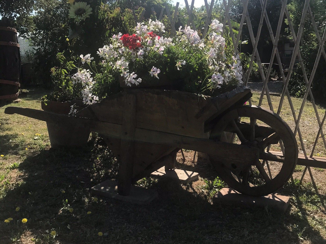 B&B Il Casale delle Girandole主图