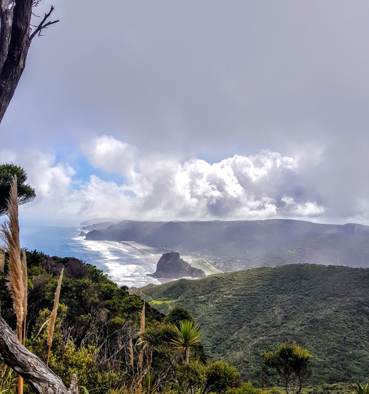 Mercer Bay Loop-皮哈海滩必去景点