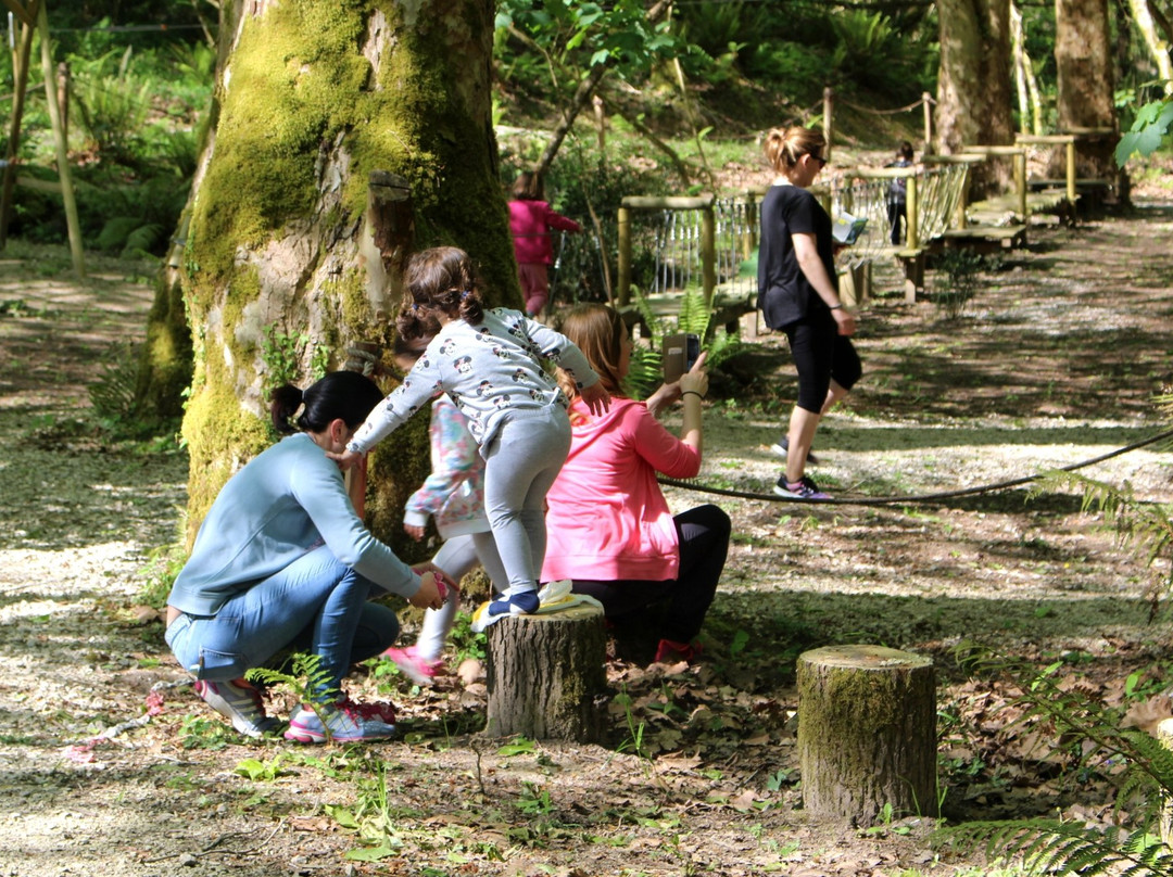 Selva Asturiana Aventura en Llanes景点图片