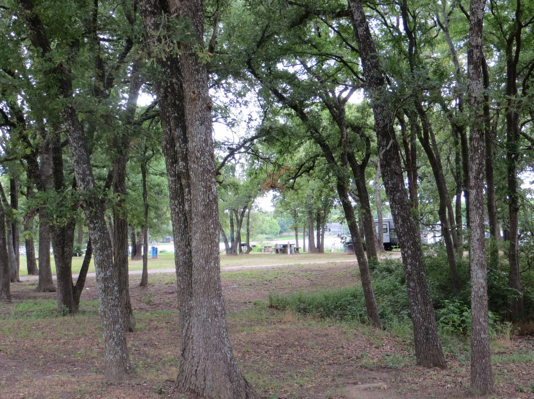 Lake Mexia Marina-Mexia必去景点