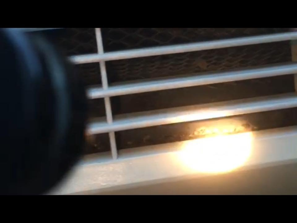 Super 8 by Wyndham Bowling Green North主图