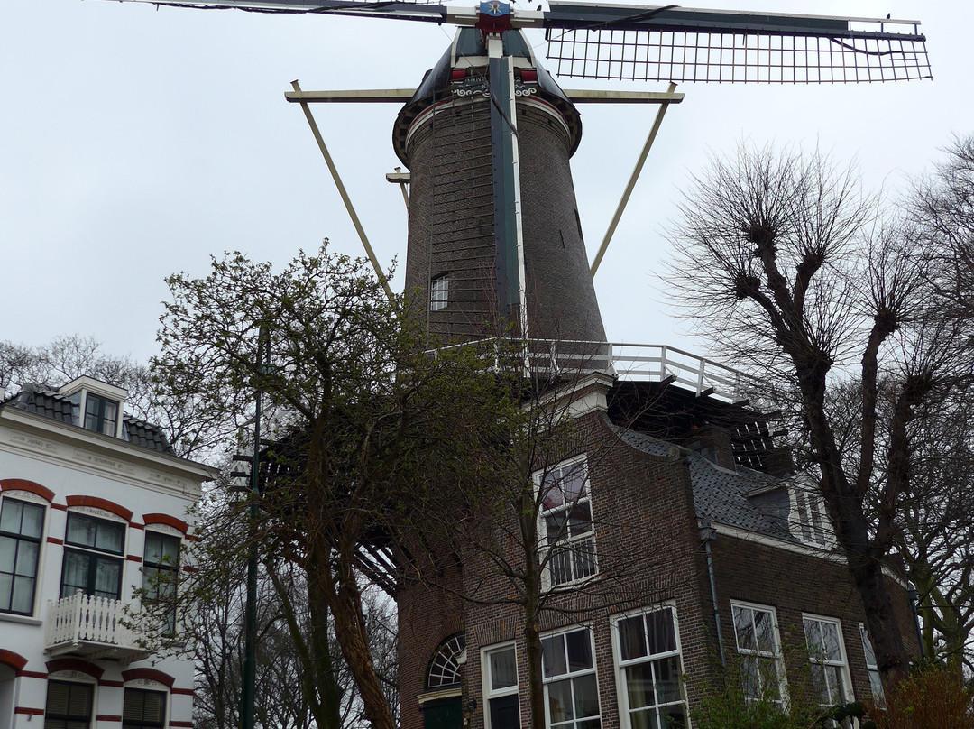 rijksmonument Houtmansplantsoen uit 1829景点图片