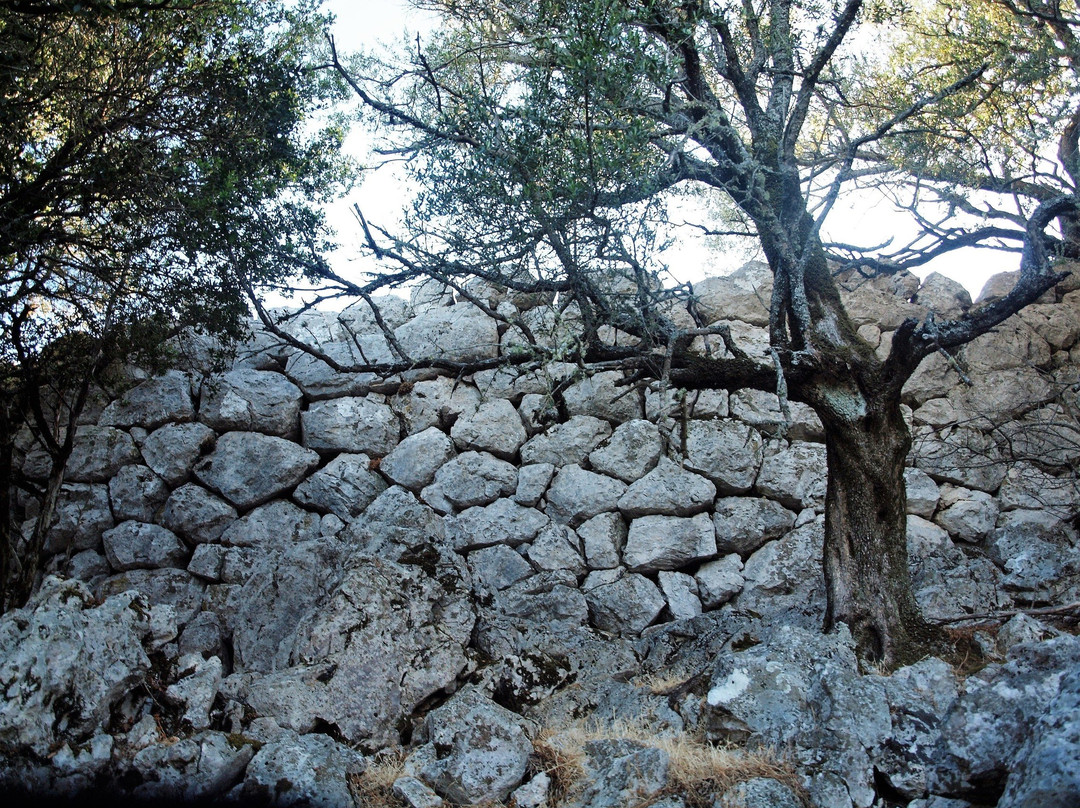 Acropolis of Alalkomenes-Aetos必去景点