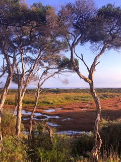 French Island National Park景点图片