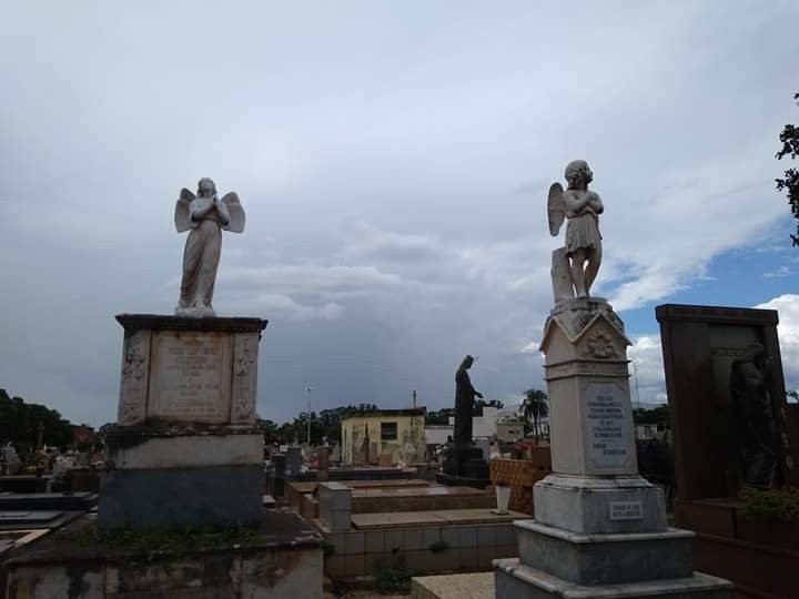 Cemitério São João Batista景点图片