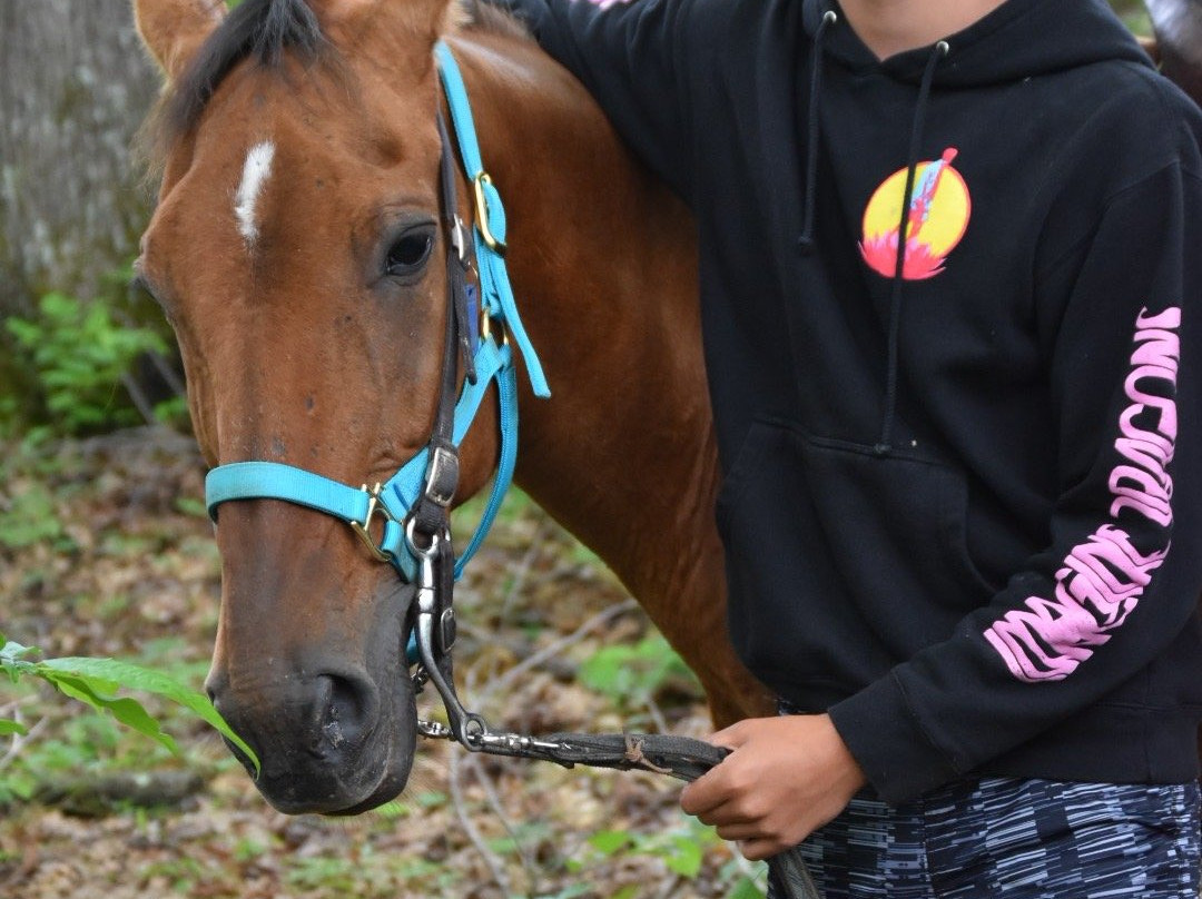 Equestrian Adventures-Fayetteville必去景点