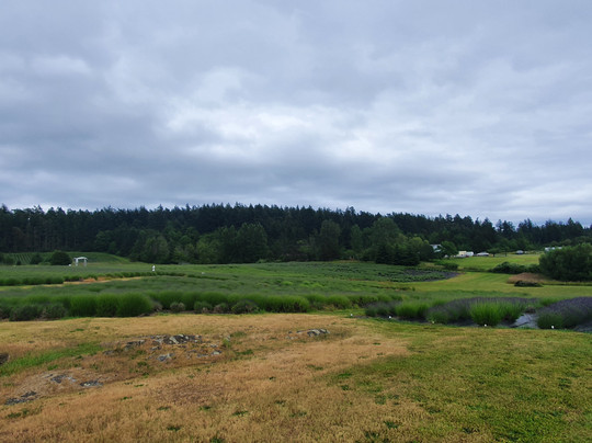 San Juan Transit-星期五港湾必去景点