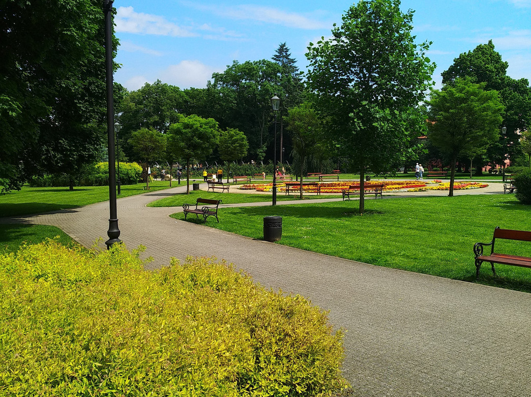 Park Miejski im. Aleksandra Majkowskiego景点图片
