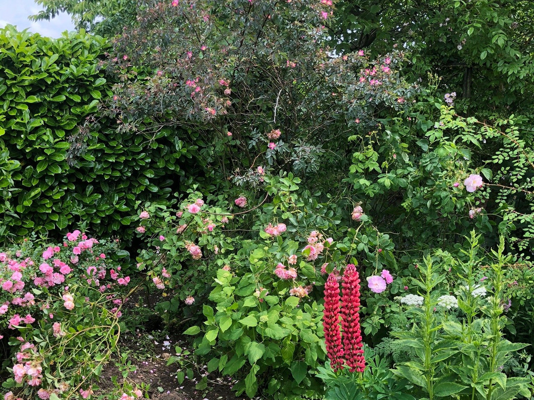 Hall Farm Garden景点图片