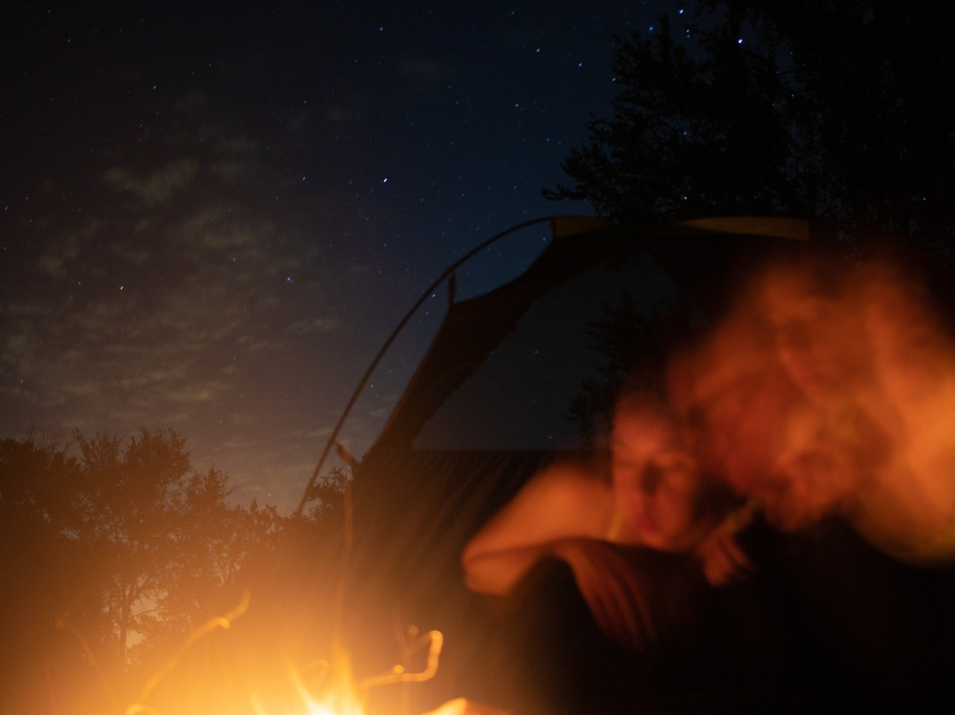 Lake Somerville State Park - Nails Creek Unit-Ledbetter必去景点