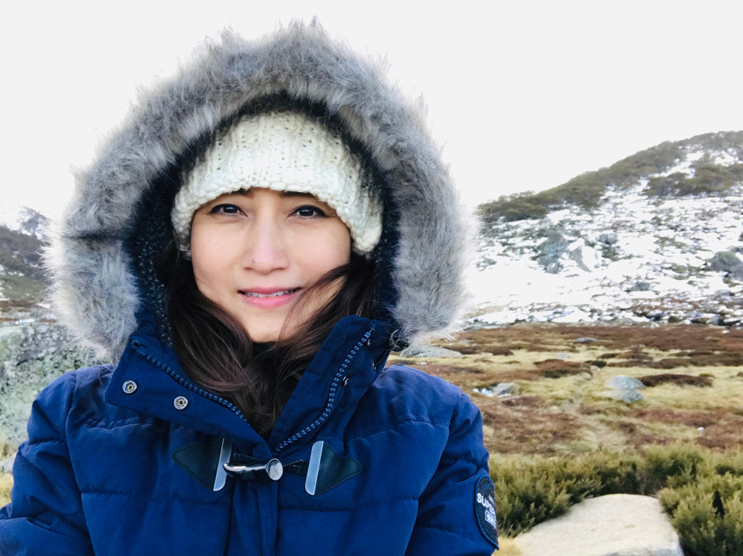 High Country Motel主图