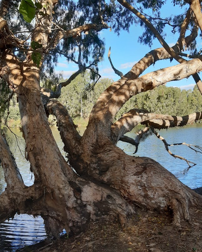 Riverway-汤斯维尔必去景点