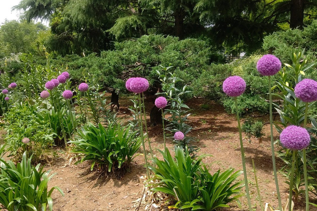Fukaya Green Kingdom-深谷市必去景点