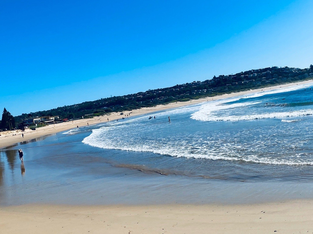 Dee Why Beach景点图片